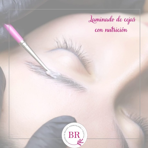 Laminado + Nutricion