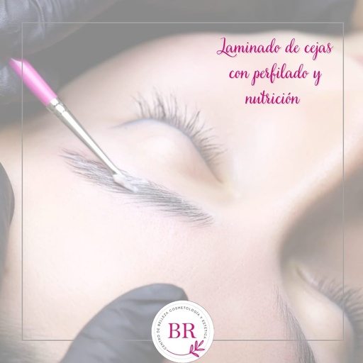 Laminado + Perfilado + Nutricion + Tinte